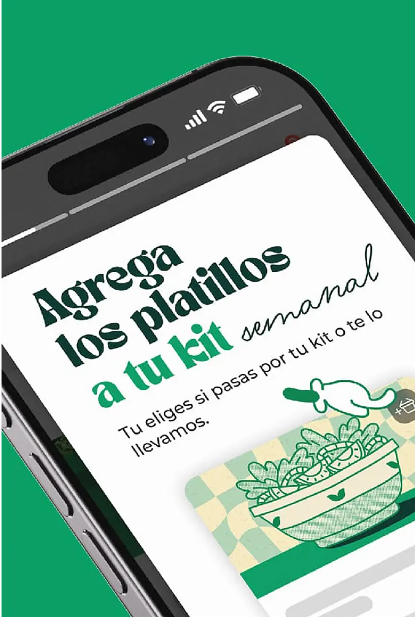 Klef Agency Portfolio - T1me and Co. Branding Project